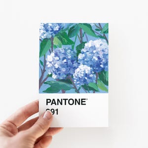 Carte postale fleur d'hortensia (Pantone-291)