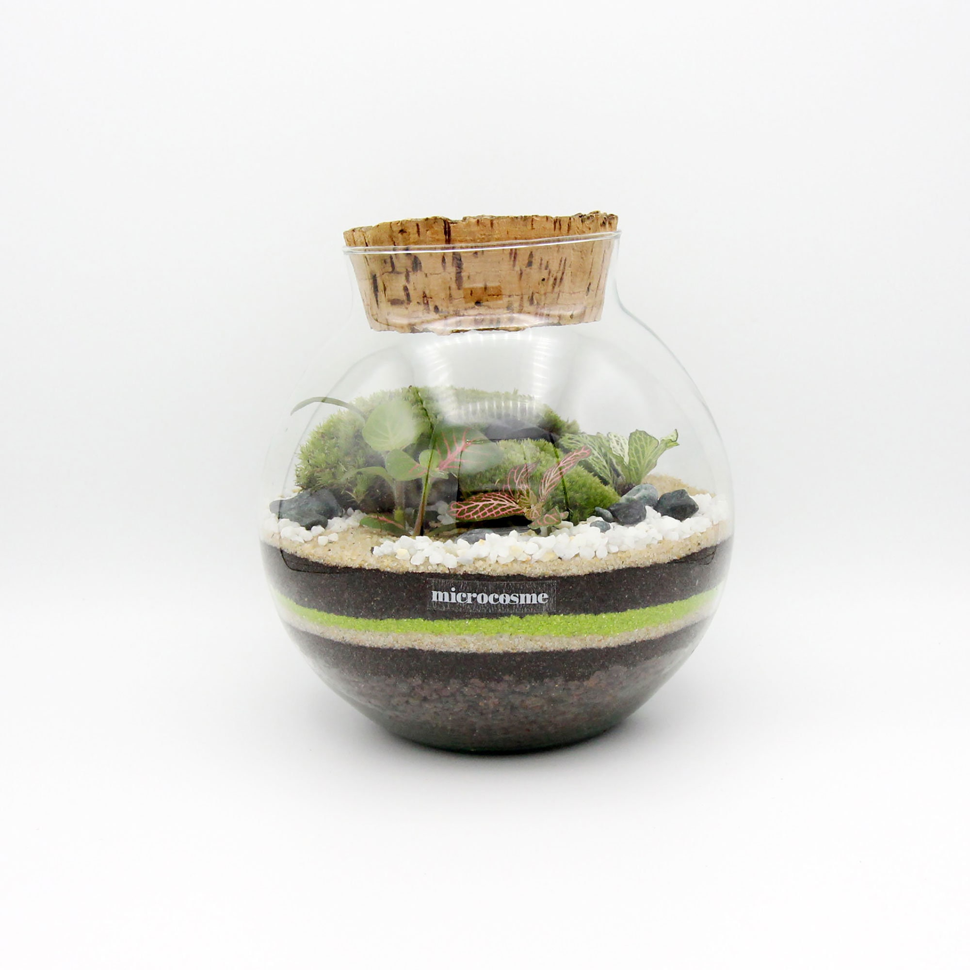 Terrarium Octave Junior en Kit Diy