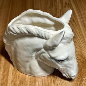 May include: A white ceramic planter shaped like a horse head. The sculpture features a detailed mane, pointed ears, and a hollow opening at the top for plants. The surface is smooth with a matte finish, capturing the equine facial features.