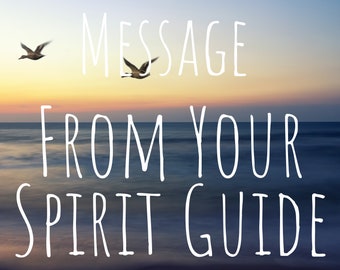 May include: An image with the text "MESSAGE FROM YOUR SPIRIT GUIDE" in white over a blurred ocean and sunset background. Two birds are flying in the upper left and center of the image.