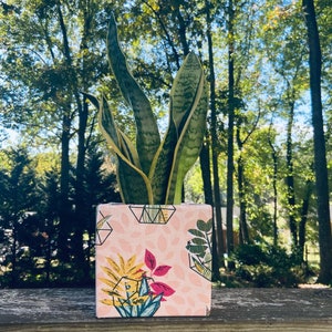 May include: A square, pink planter with a botanical pattern holds a snake plant. The planter features geometric shapes and colorful illustrations of plants and leaves. The snake plant has tall, green leaves with yellow edges.