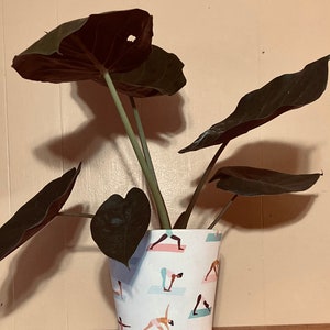May include: A dark green houseplant with large, heart-shaped leaves in a white ceramic pot with a pattern of people doing yoga poses.