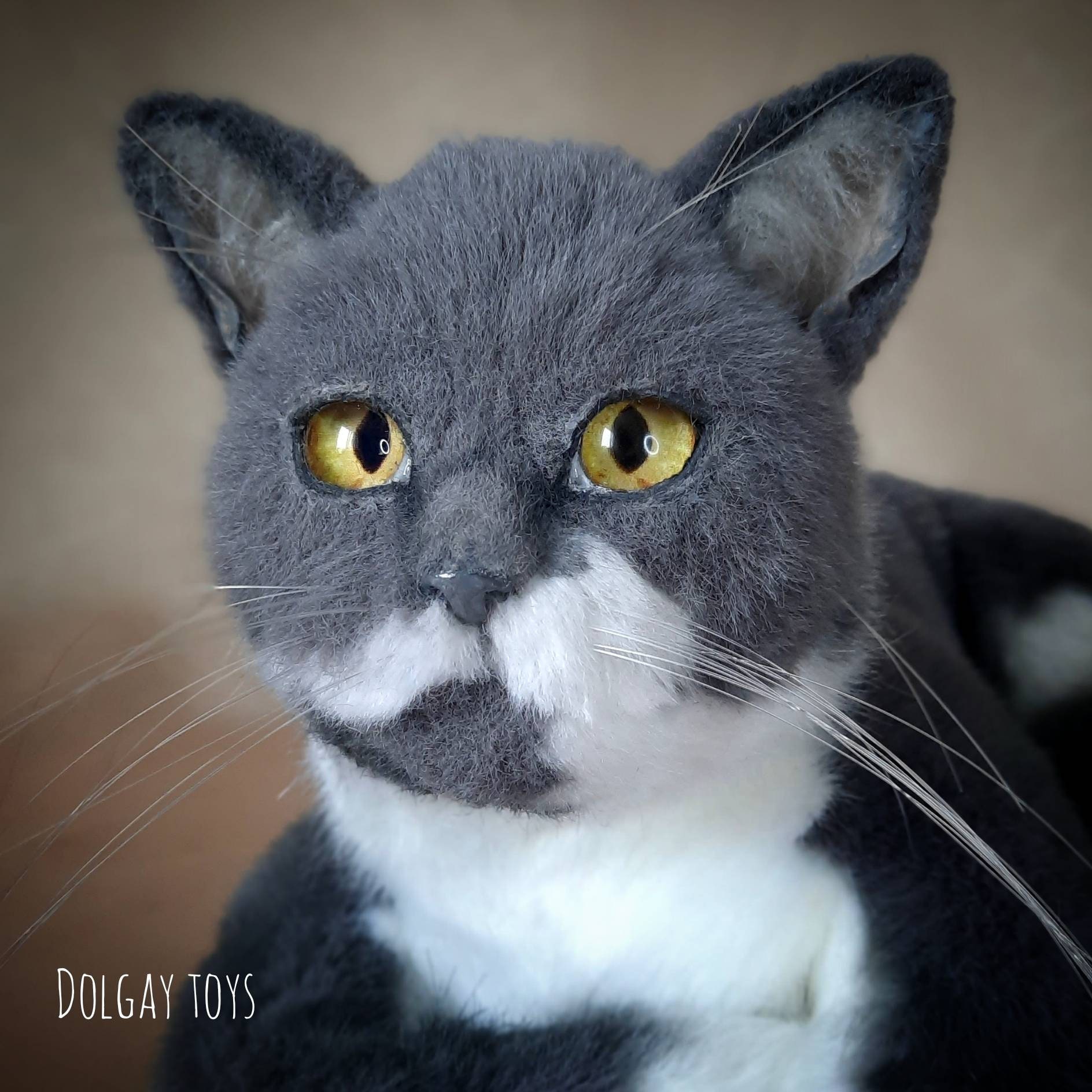 EXAMPLE Cat Ron Realistic cat Realistic replica Pet | Etsy