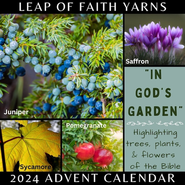 Pre-order: 2024 CHRISTMAS ADVENT CALENDAR ”In God’s Garden" Hand Dyed Yarn