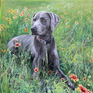 Pet Oil Painting - canvas, Handmade Custom Gift from your Photo, Dog Custom Oil Painting Wall Art, an Authentic Pet Portrait Gift Idea
