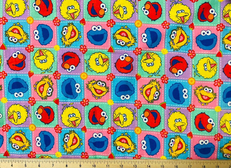 Sesame Street Big Bird Cookie Monster Elmo and Zoe 2006 - Etsy