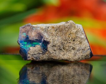 Black Opal Rough, Raw Black Opal, 11.60 Carat, 19x16 MM Black Opal Rough, Raw Black Opal, 11.60 Carat, 19x16 MM