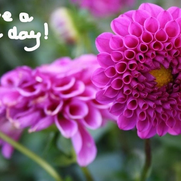 Foto Postkarte "Have a nice day" Pink Flower