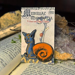 May include: A blue and orange enamel pin depicting a cat with a snail shell on its back. The pin is set against a background of a medieval-style illustration with the text "Medieval Marginalia Felinorum Saga Magna".