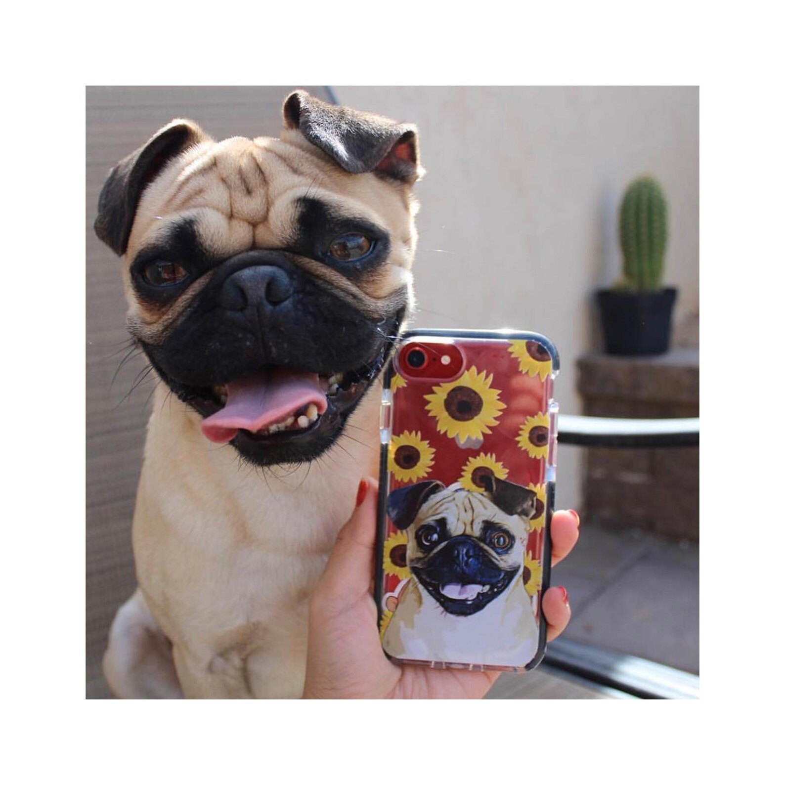 Custom dog phone case Custom pet illustrated phone case Dog Etsy