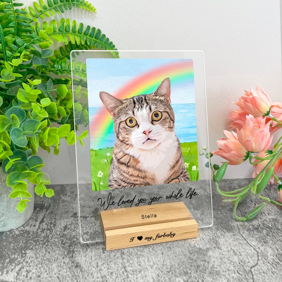 Personalized Cat Memorial Gift Pet Memorial Frame Pet Loss Etsy