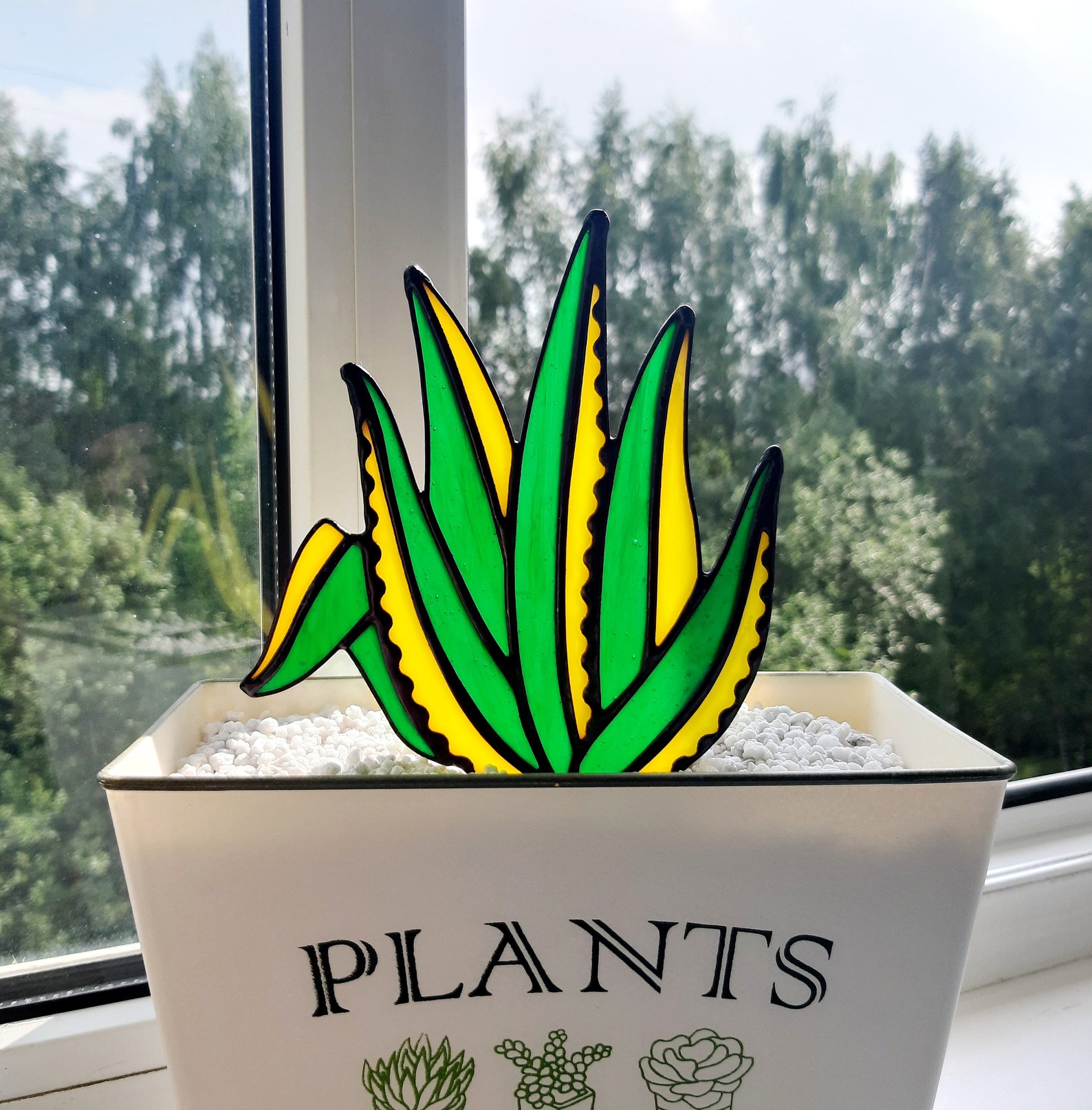 Digital Download Stained Glass PDF Agave Variegata Succulent Etsy