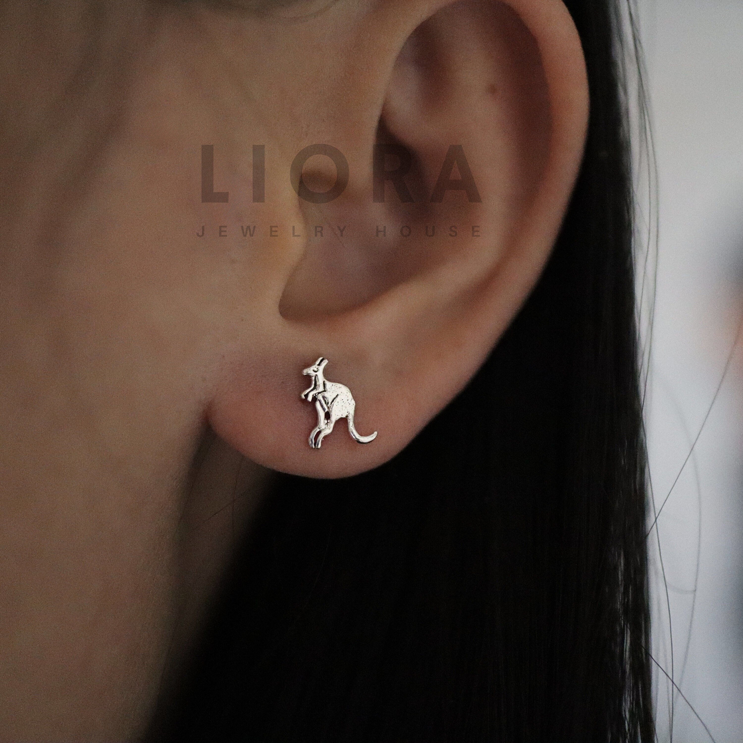 Koala Oorbellen 925 Sterling Zilver Leuke Dieren Oorknopjes