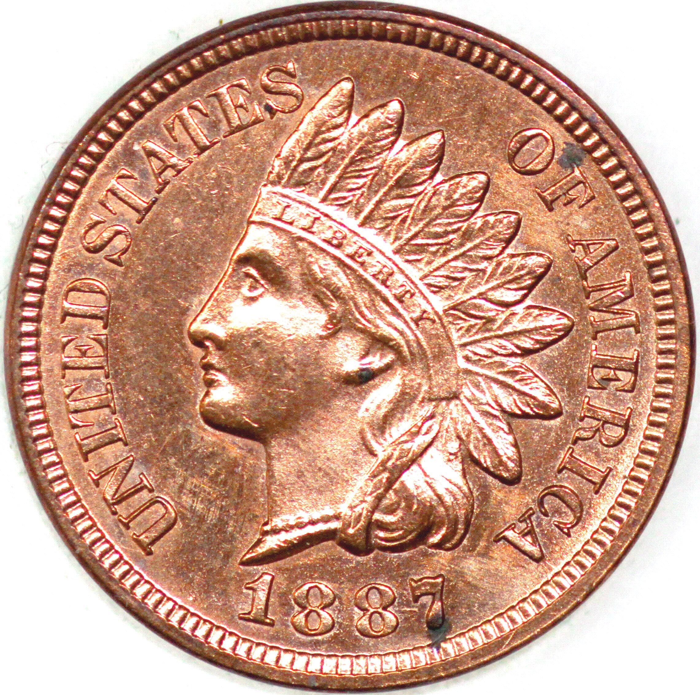 島 5枚 サインド 1887-P Indian Cent Uncirculated as Shown [SN02] - Etsy