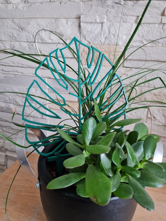 Buy Monstera Pattern Plant Tutor Several Colors Gift Idea Online in India -  Etsy