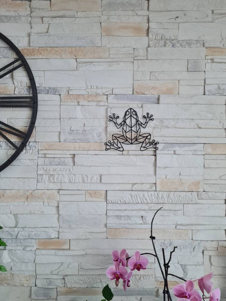 Grenouille Décoration Murale Art Plusieurs Coloris Idée Cadeau