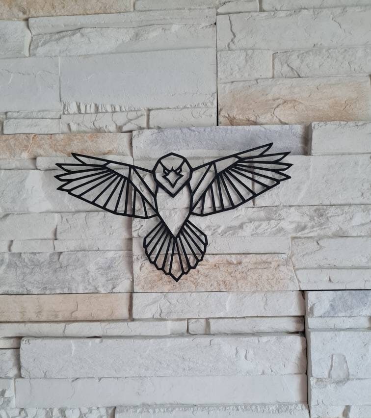 Rapace Décoration Murale Art Plusieurs Coloris Modèles Idée Cadeau