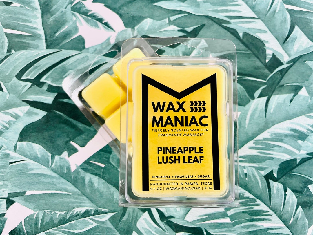 Pineapple Lush Leaf Scented Wax Melts Long Lasting Wax Melts for