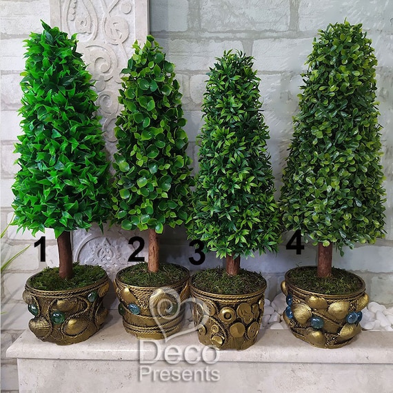 raquette Détectable Élégance sapin bonsaï extérieur à la maison