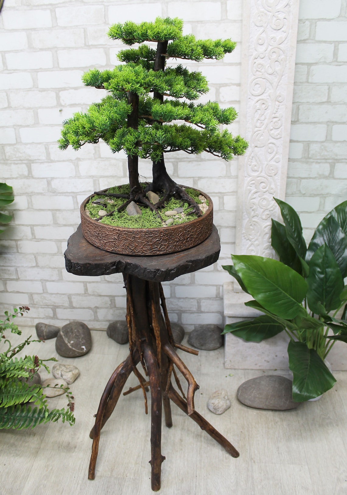 Bonsai No. 88 Thuja. Thuja tree decorative bonsai in a round Etsy