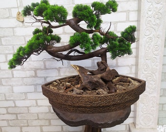 Decorative bonsai Tree No. 129. Table bonsai tree Pine. zigzag tree