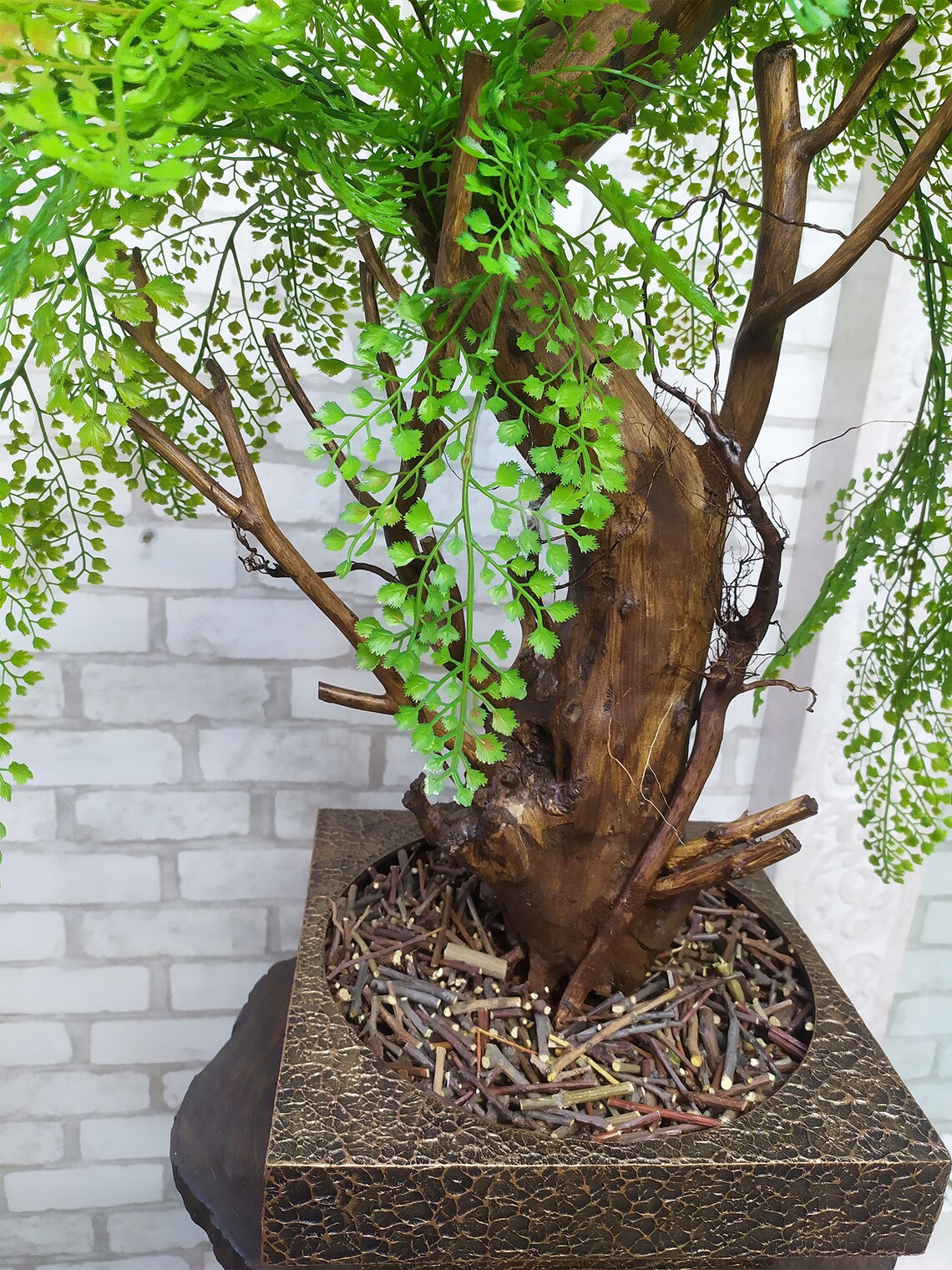 Bonsai No. 125 weeping Willow. Table Willow Etsy