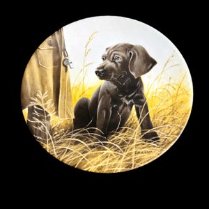 Peut inclure: Assiette décorative ronde représentant un chiot brun foncé aux yeux bleus, assis dans de hautes herbes dorées. Une veste beige avec un sifflet est suspendue en arrière-plan. L'œuvre est signée "LR KANITZ".