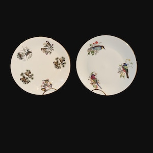 Georges Boyer Limoges - Etsy