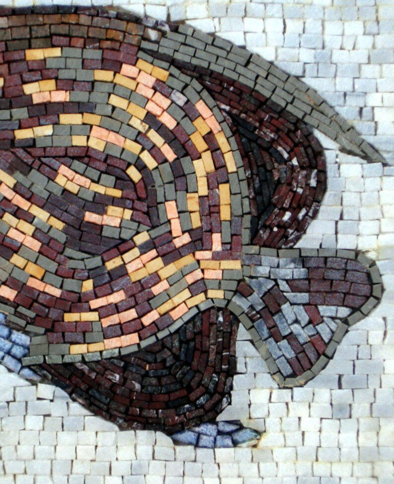 FISH WALL Art-mosaic Tile Art-backsplash Mosaic Fish Naturally - Etsy