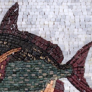 May include: A mosaic artwork depicting a fish, crafted from small, rectangular tiles. The fish features a dark green body, a maroon tail and fins, and a dark brown and tan head. The background is composed of white tiles.