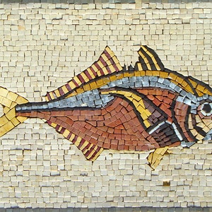 FISH MOSAIC BACKSPLASH | Fish Design Tiles For Living Room Walls | Colorful Fish Artwork Tiles For Rooms Décor And House Warming Gift
