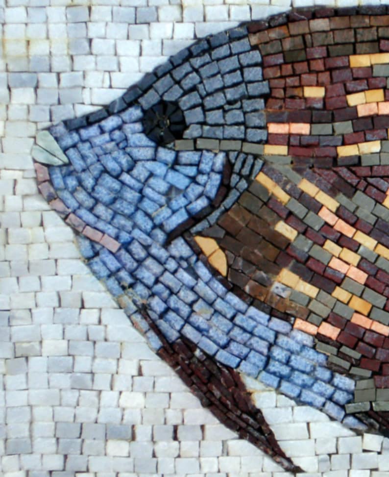 FISH WALL Art-mosaic Tile Art-backsplash Mosaic Fish Naturally - Etsy