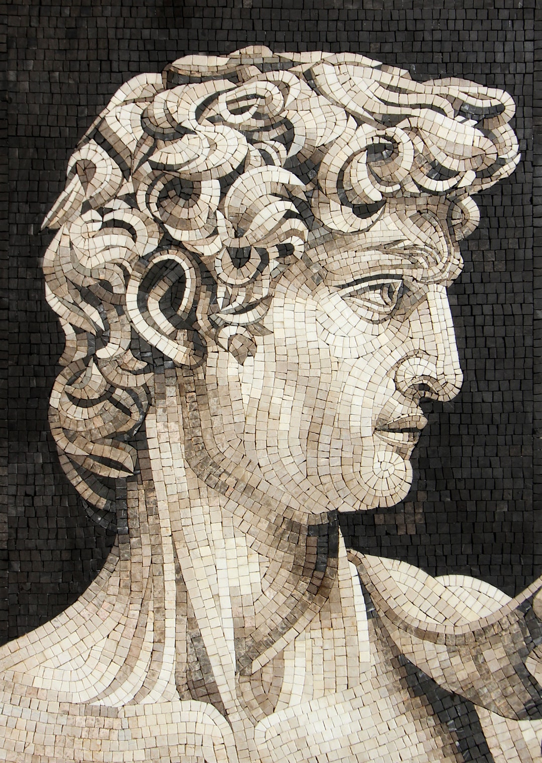 Mosaics hidràulics d'autor 　スペイン語 il_1080xN.5854296981_ag3g.jpg