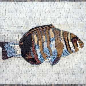FISH MOSAIC TILES |Fish Murals For Living Room Walls | Fish Artwork Tiles For Interior Rooms Wall Décor And House Warming Gift
