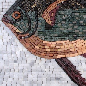 May include: A mosaic artwork depicting a fish, composed of small, rectangular tiles. The fish features a detailed eye and scales in shades of green, brown, and red. The background is a mosaic of white tiles, creating a textured effect.