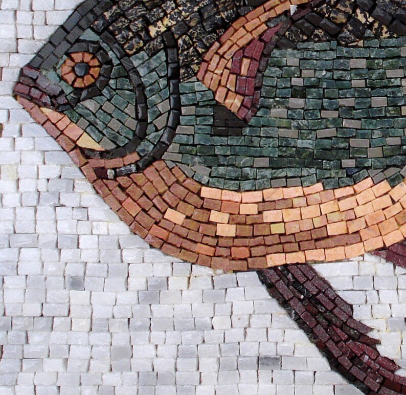 May include: A mosaic artwork depicting a fish, composed of small, rectangular tiles. The fish features a detailed eye and scales in shades of green, brown, and red. The background is a mosaic of white tiles, creating a textured effect.