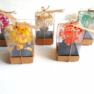 Wedding Favors for Guests Bulk, Minimal Vase For Guest Gift, Flower Bouquet, Bridal Shower Favors, Baby Shower Favors, Bulk Thank You Gifts