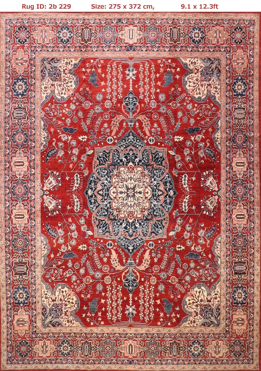 High Quality 9x12'3 FT, Aryana Area Rug, Hand Knotted Wool Rug