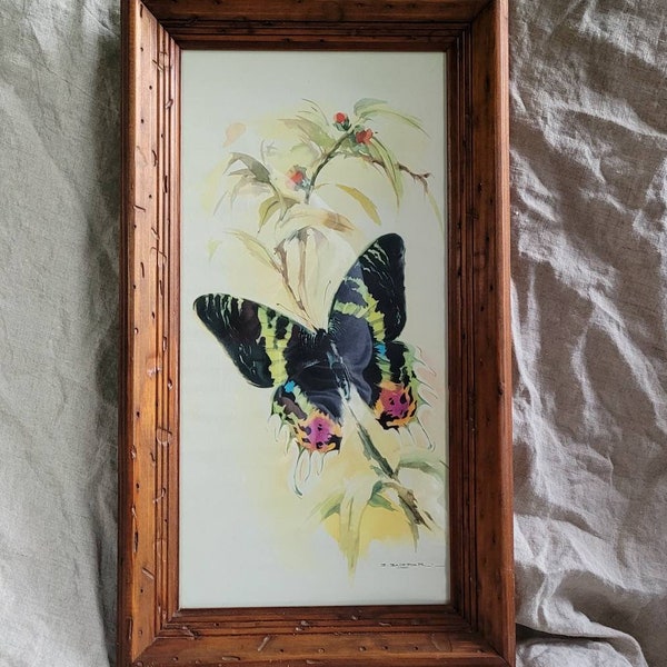 Print - Frame Vintage butterfly print by B. Ballestar / Butterfly picture