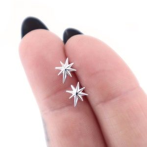 Steroorknopjes 925 zilver, mooie poolsterstekers, sierlijke oorknopjes, hemelse oorbellen, gotische sieraden cadeau voor haar