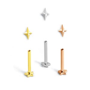 Pode incluir: Um conjunto de três brincos em forma de estrela com base plana para piercings corporais. O conjunto inclui um pino prateado, um dourado e um em ouro rosa, cada um com uma estrela de quatro pontas e uma haste reta com base plana.