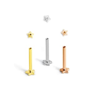 Peut inclure: Collection de bijoux de corps en forme d'étoile, en or, argent et or rose. Chaque pièce est dotée d'une base en forme d'étoile et d'une tige droite. Bijoux pour piercings.