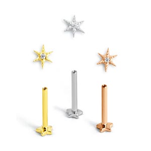 Può includere: Una collezione di gioielli per il corpo a forma di stella in oro, argento e oro rosa. I gioielli includono top a forma di stella con una gemma al centro e aste abbinate. I gioielli sono progettati per piercing a labbra, orecchie o altre parti del corpo.
