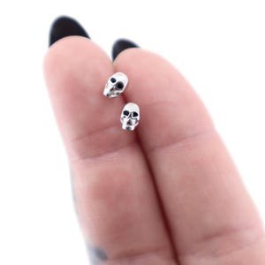 Può includere: Un paio di piccoli orecchini a lobo a forma di teschio in tonalità argento lucido. Ogni orecchino presenta un design dettagliato e tridimensionale del teschio con aree incavate e scure per le orbite e la cavità nasale.