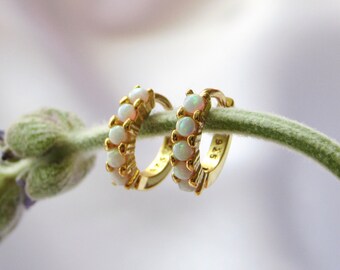 May include: A pair of gold hoop earrings with a row of white opal stones around the hoop. The earrings are on a green stem.
