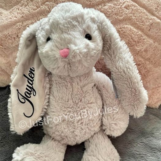 teddy rabbits for sale