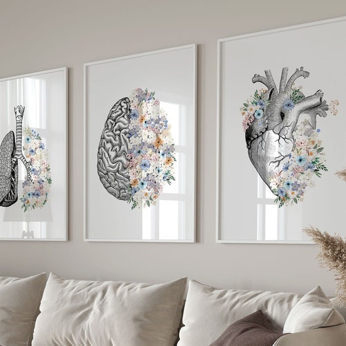Set of 3 Prints Brain Lungs Heart Anatomical Wall Art - Etsy