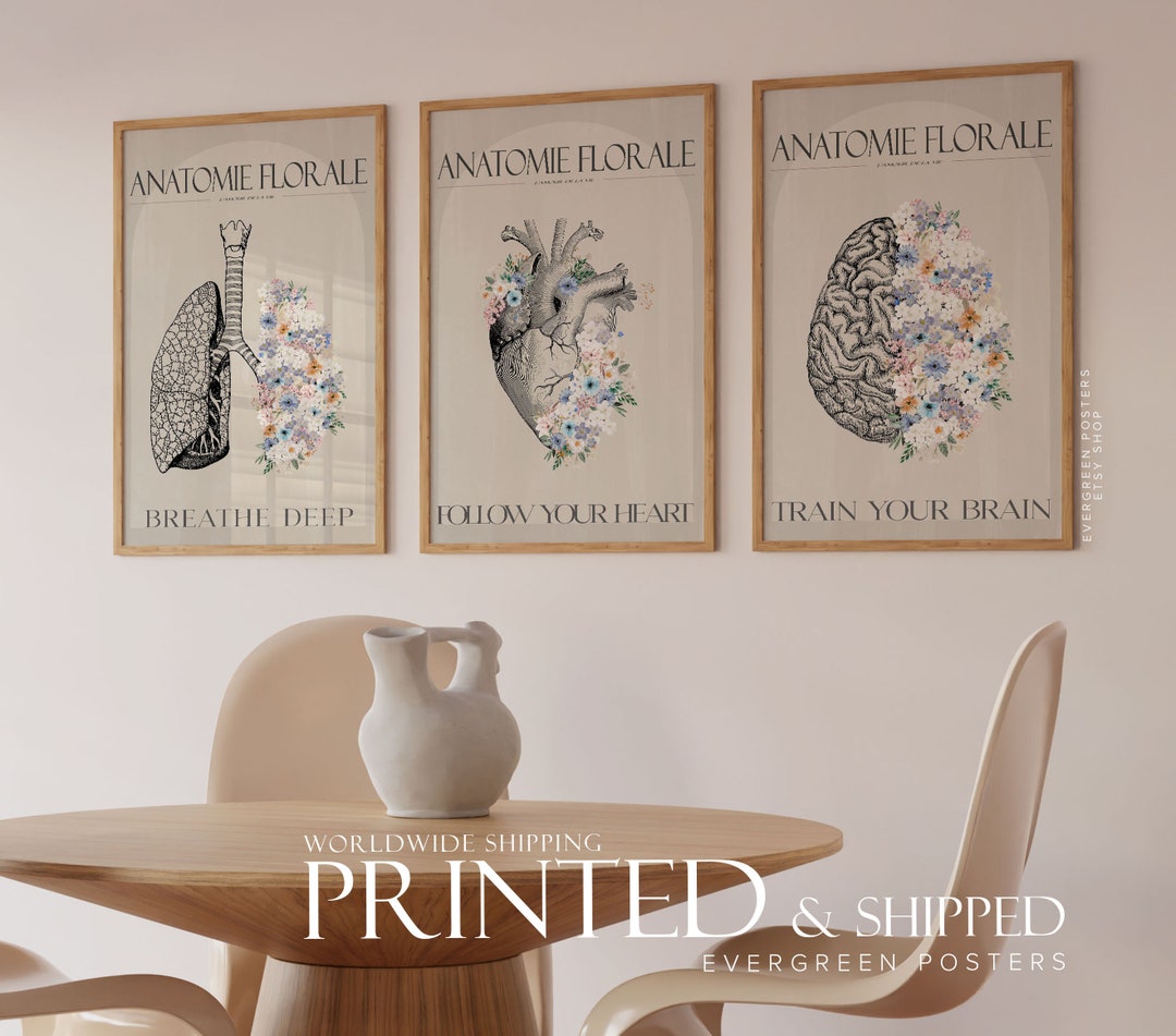 Set of 3 Posters Vintage Floral Anatomy Heart Brain Lungs Gallery ...