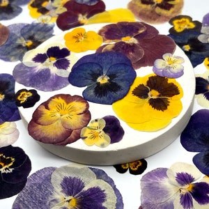 Edible flower, Violas set of 30,Edible pressed flowers, Pressed Dried Pansies, Real pressed dried flowers, Dried flowers, Pressed flowers,