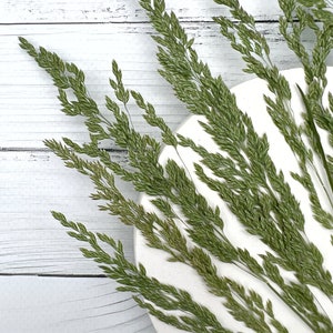 May include: A white round plate with green grass stems arranged in a fan shape on a white wooden background.